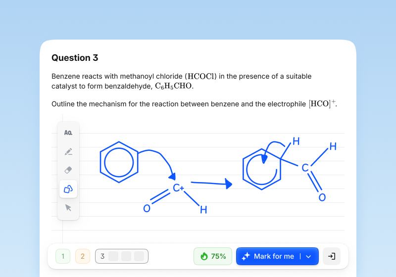 Image for Practise exam-style questions