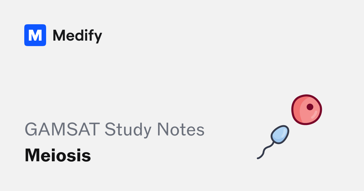 Meiosis — GAMSAT Study Notes — Medify